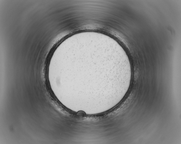 X0000111371026200908071210