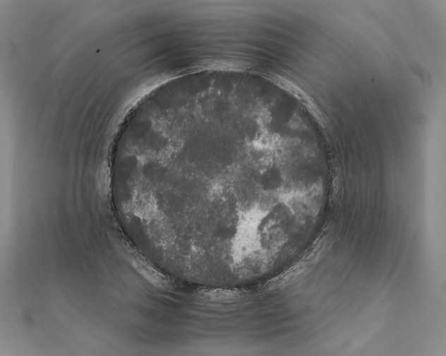 X0000111371027200908071210