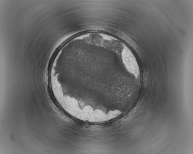 X0000111371028200908071210