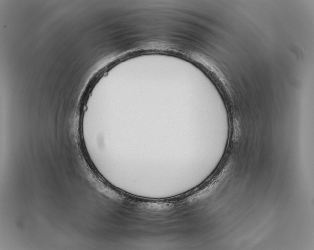 X0000111371029200908071210