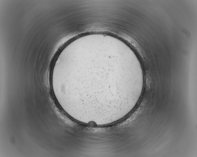X0000111371030200908071210