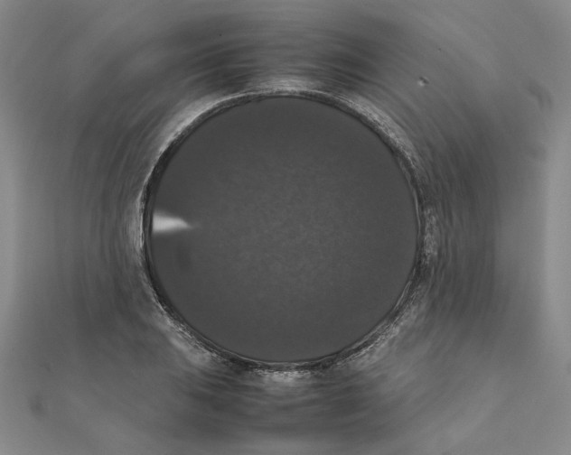 X0000111371031200908071210