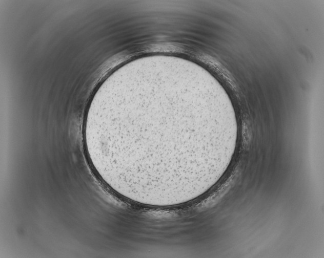 X0000111371033200908071210