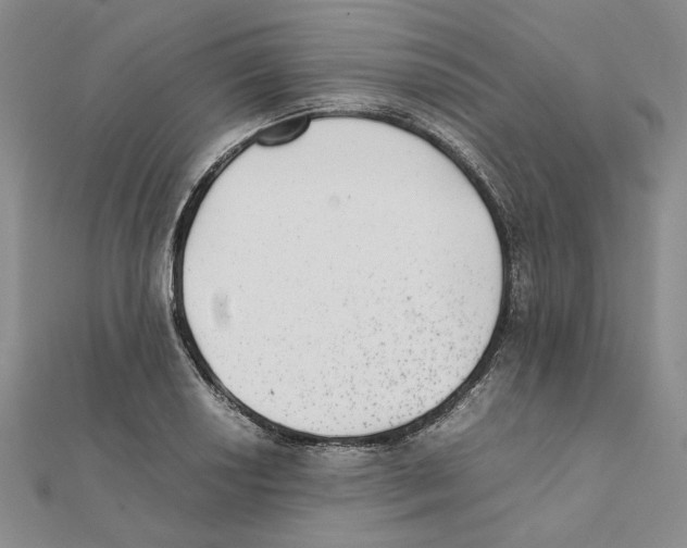 X0000111371034200908071210
