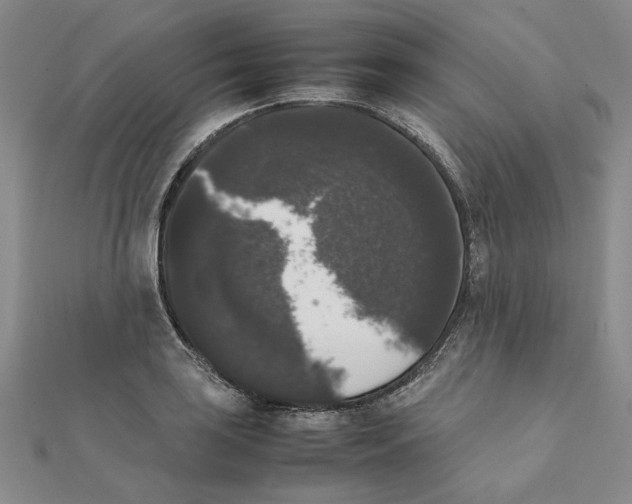 X0000111371035200908071210