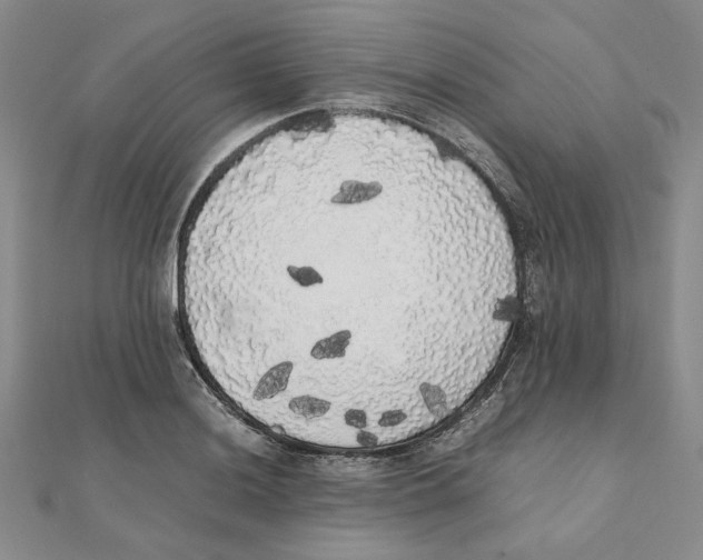 X0000111371036200908071210