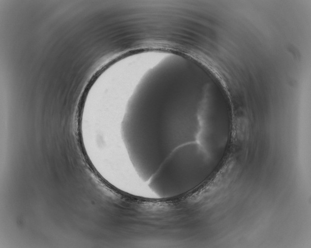 X0000111371037200908071210
