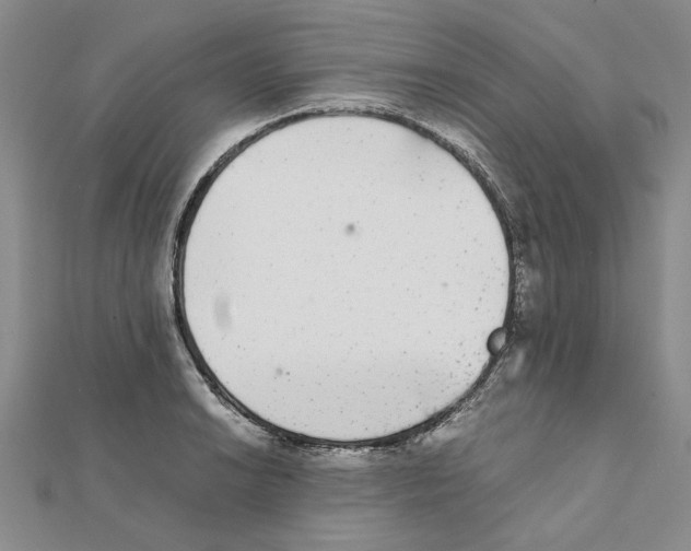 X0000111371038200908071210