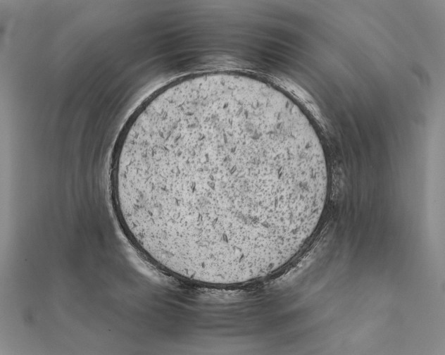 X0000111371039200908071210