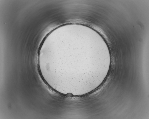 X0000111371040200908071210