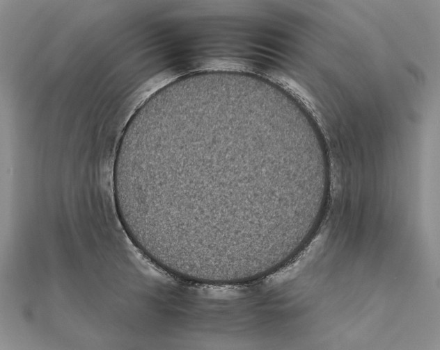 X0000111371041200908071210