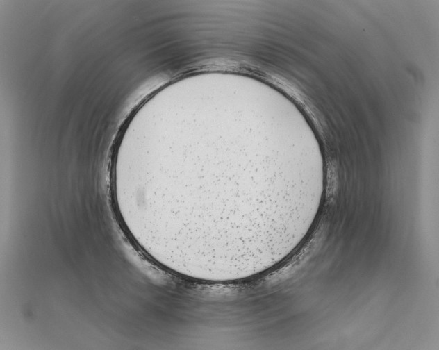 X0000111371042200908071210