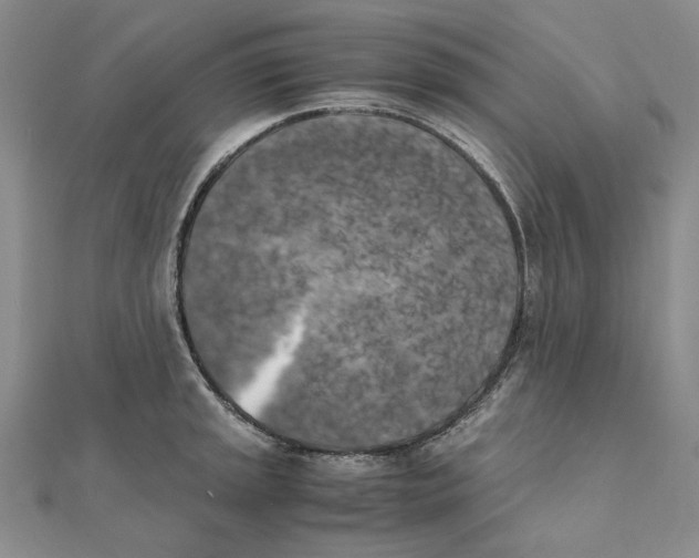 X0000111371045200908071210