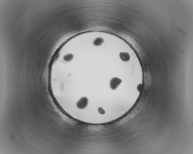 X0000111371046200908071210