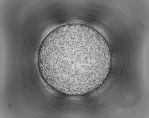 X0000111371047200908071210