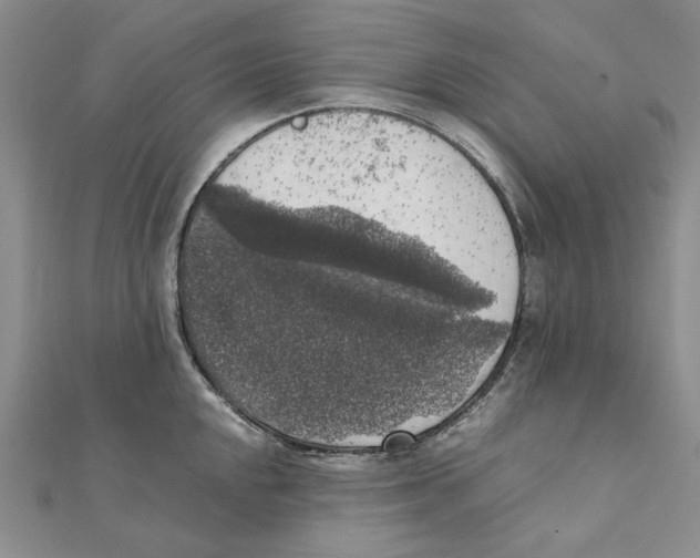 X0000111371048200908071210