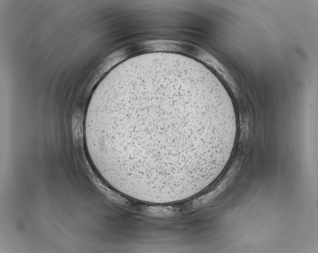 X0000111371049200908071210