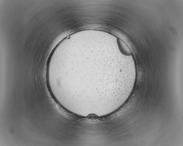 X0000111371050200908071210