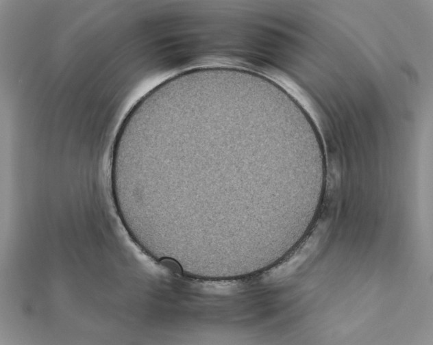 X0000111371053200908071210