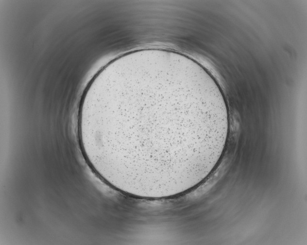 X0000111371054200908071210