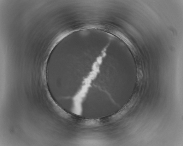 X0000111371055200908071210