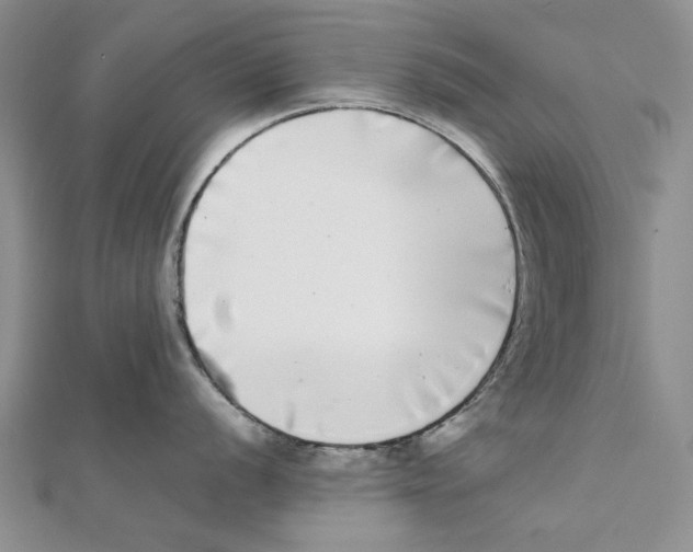 X0000111371056200908071210