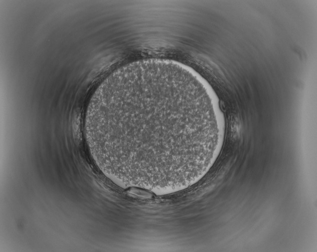 X0000111371060200908071209