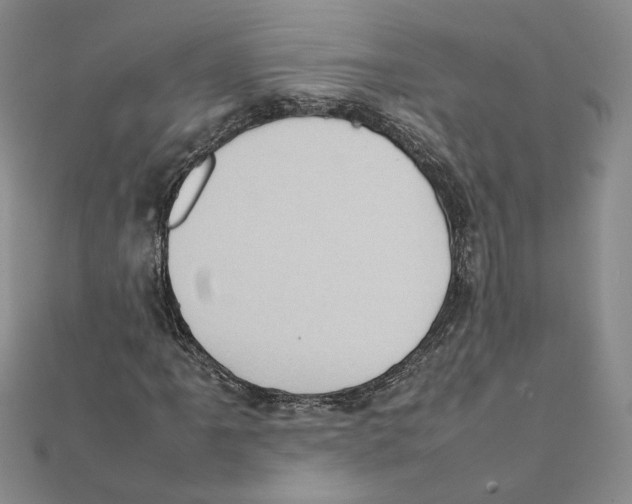 X0000111371061200908071209