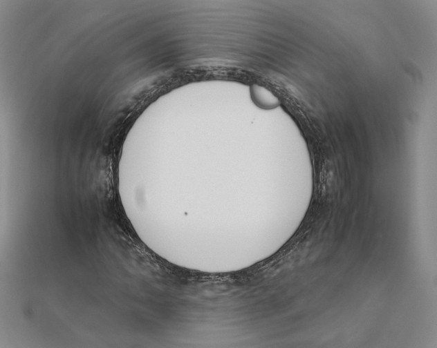 X0000111371062200908071209