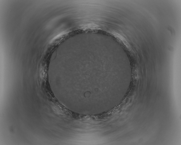 X0000111371063200908071209
