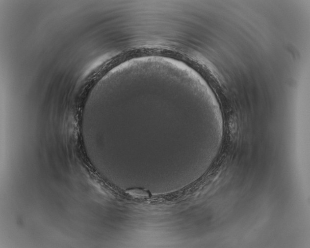X0000111371064200908071209