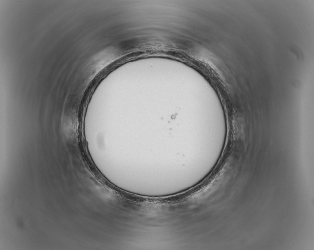 X0000111371065200908071209