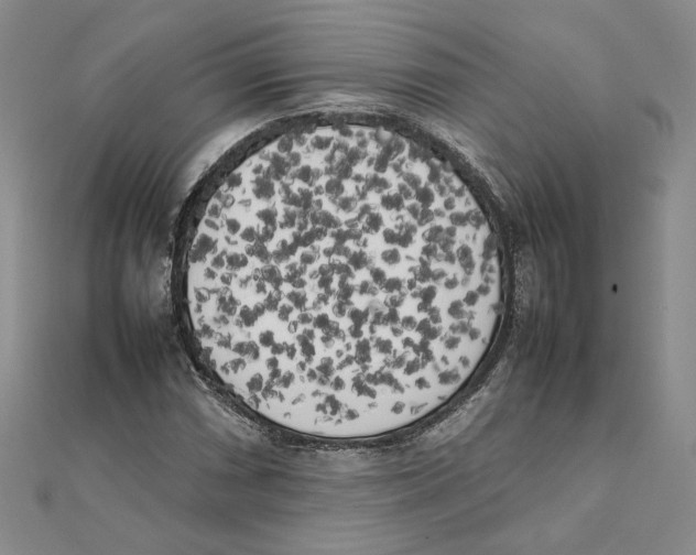 X0000111371066200908071209