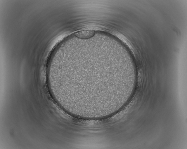 X0000111371067200908071209