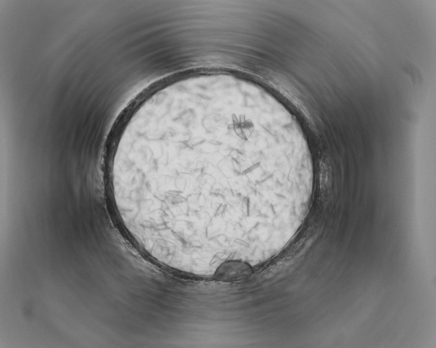 X0000111371068200908071209