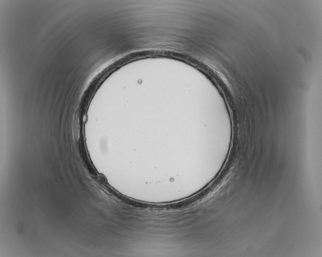 X0000111371069200908071209