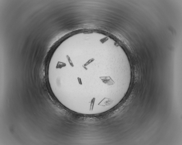 X0000111371070200908071209