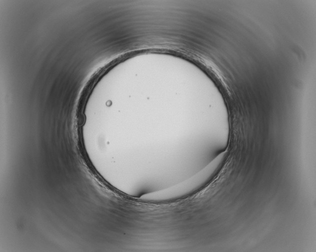 X0000111371072200908071209