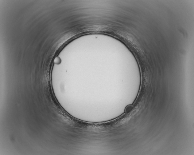 X0000111371073200908071209