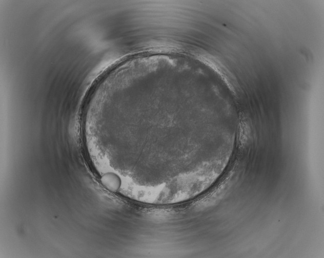 X0000111371074200908071209