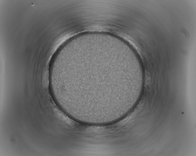 X0000111371075200908071209