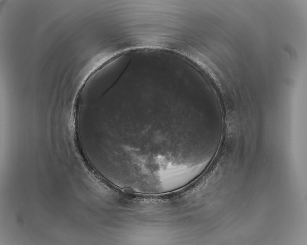 X0000111371077200908071209