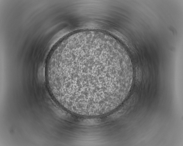 X0000111371078200908071209