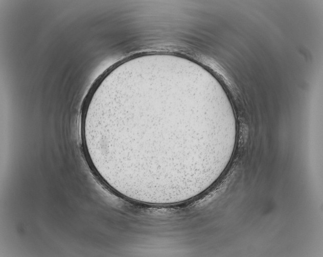 X0000111371079200908071209