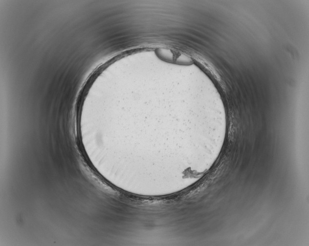 X0000111371080200908071209