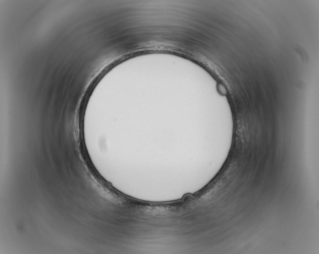 X0000111371082200908071209