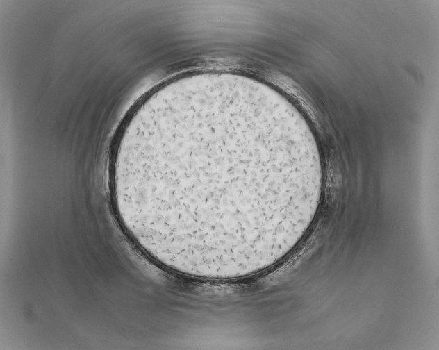 X0000111371083200908071209