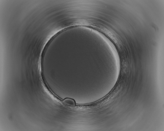 X0000111371084200908071209