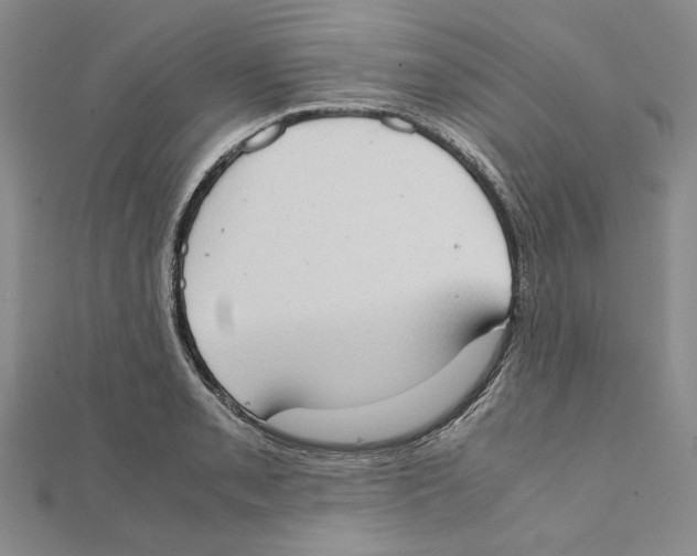 X0000111371085200908071209