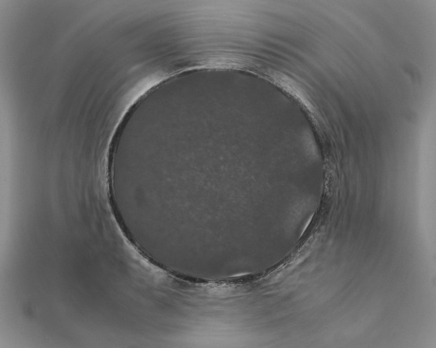 X0000111371087200908071209